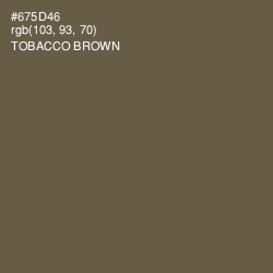 #675D46 - Tobacco Brown Color Image